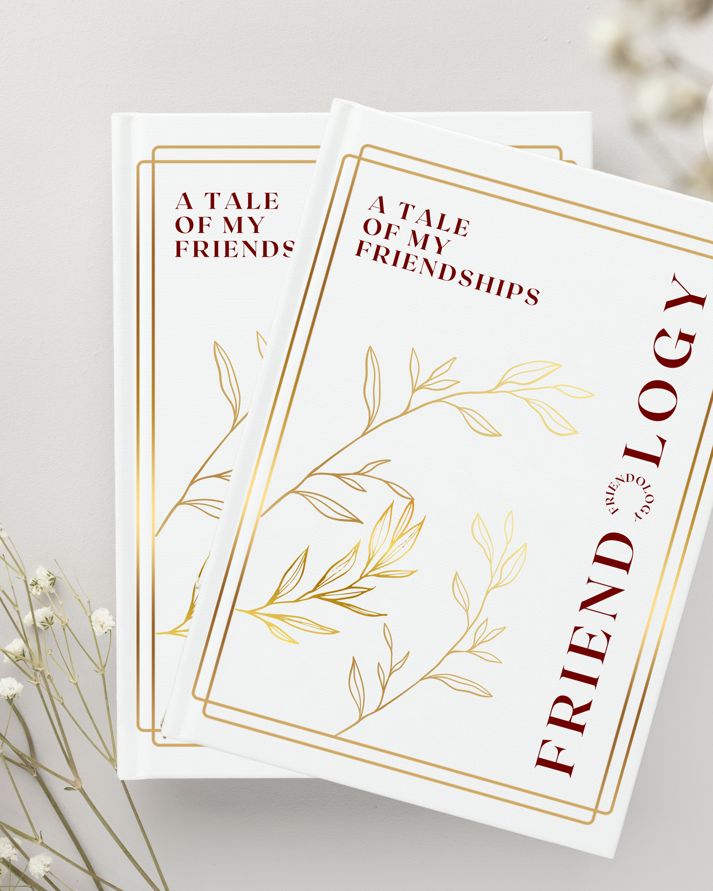 The Friendship Book – Bundle of 2